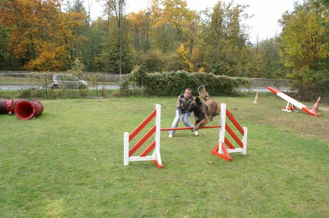 agility 2011-10-30